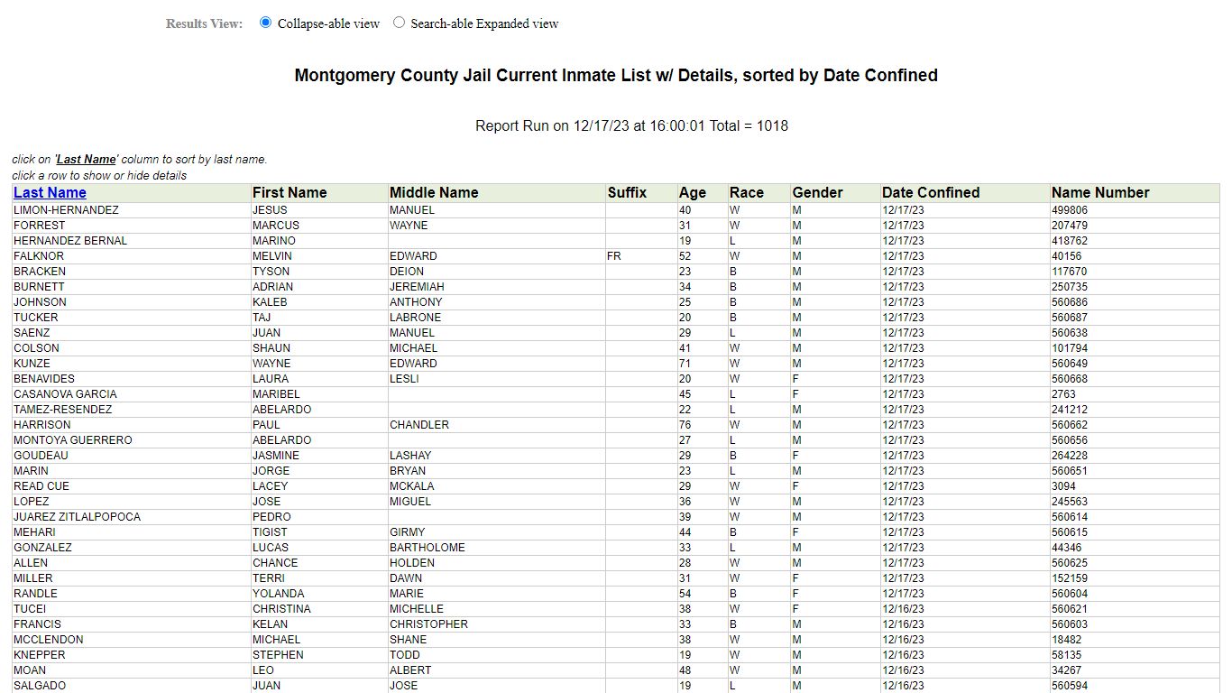 Jail Roster